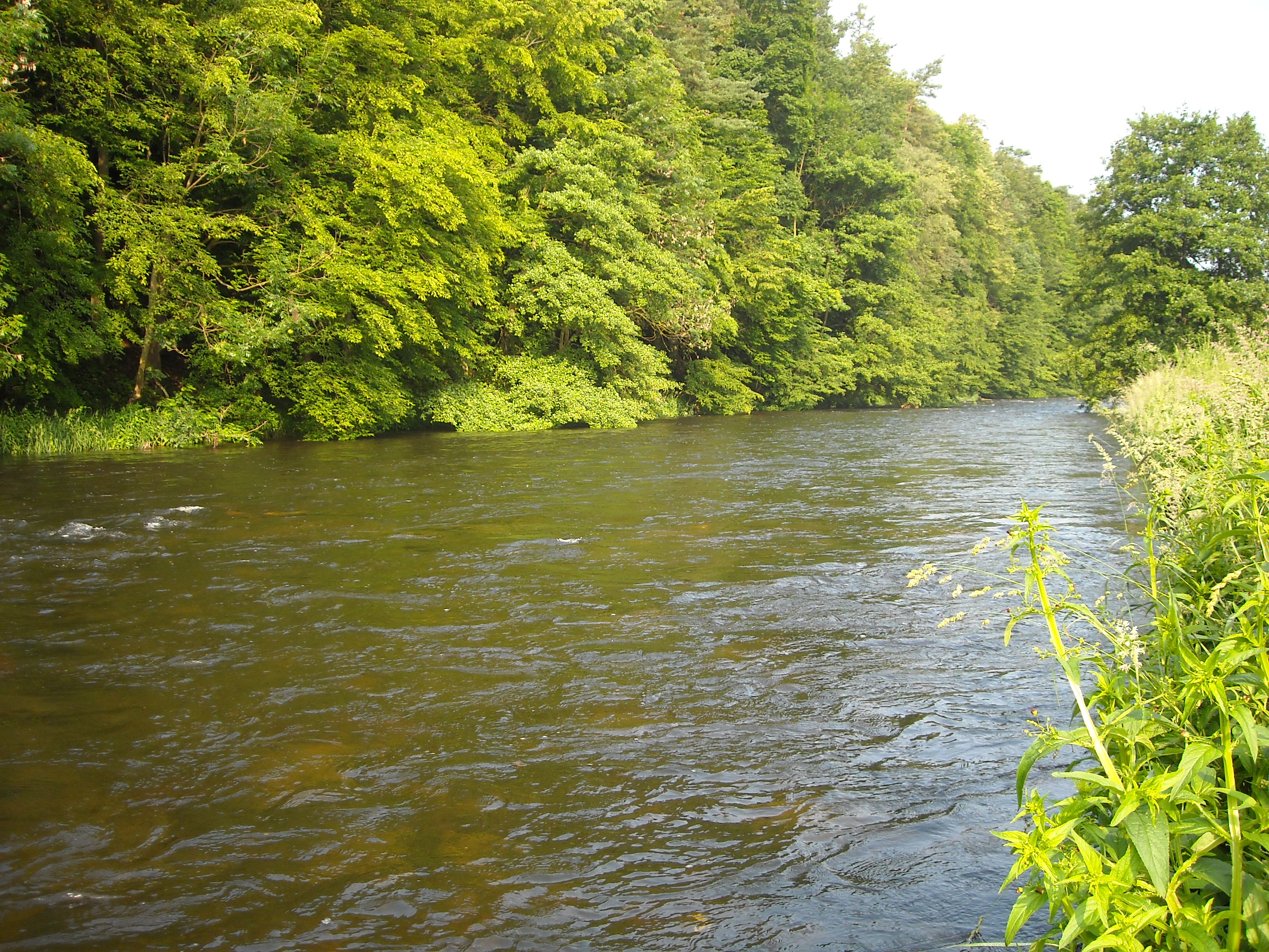 DSCN0750.jpg