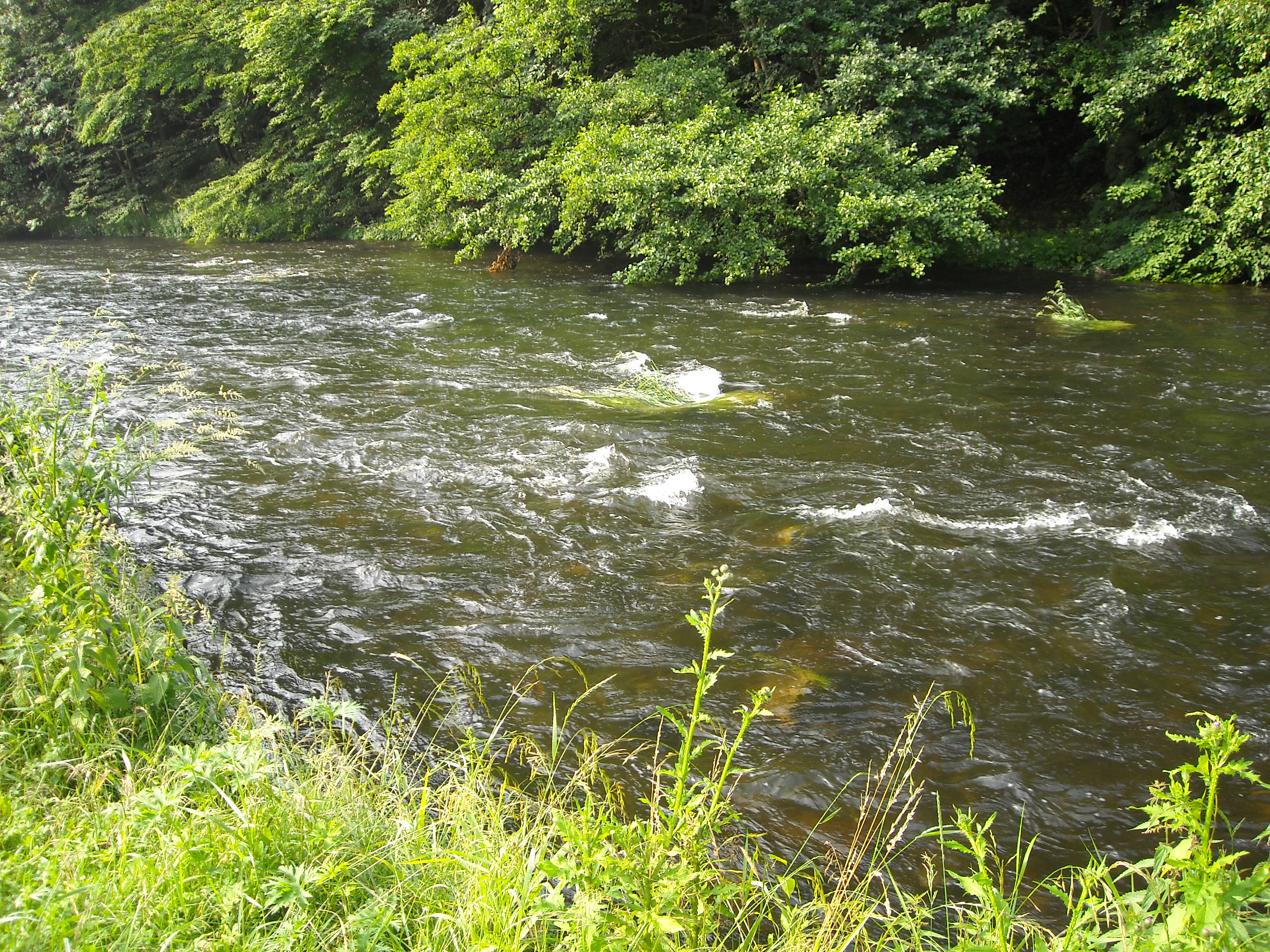 DSCN0751.jpg