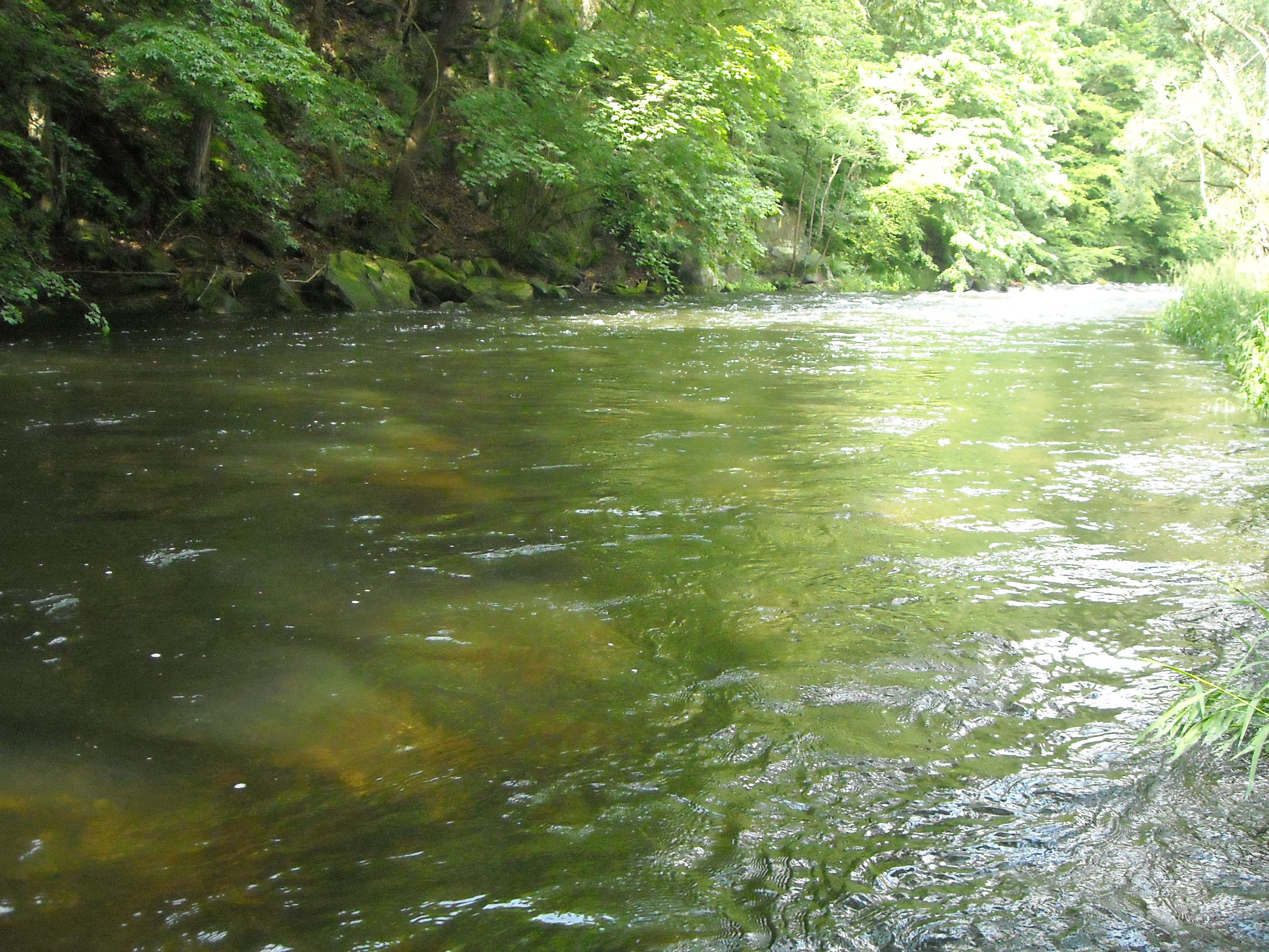 DSCN0773.jpg