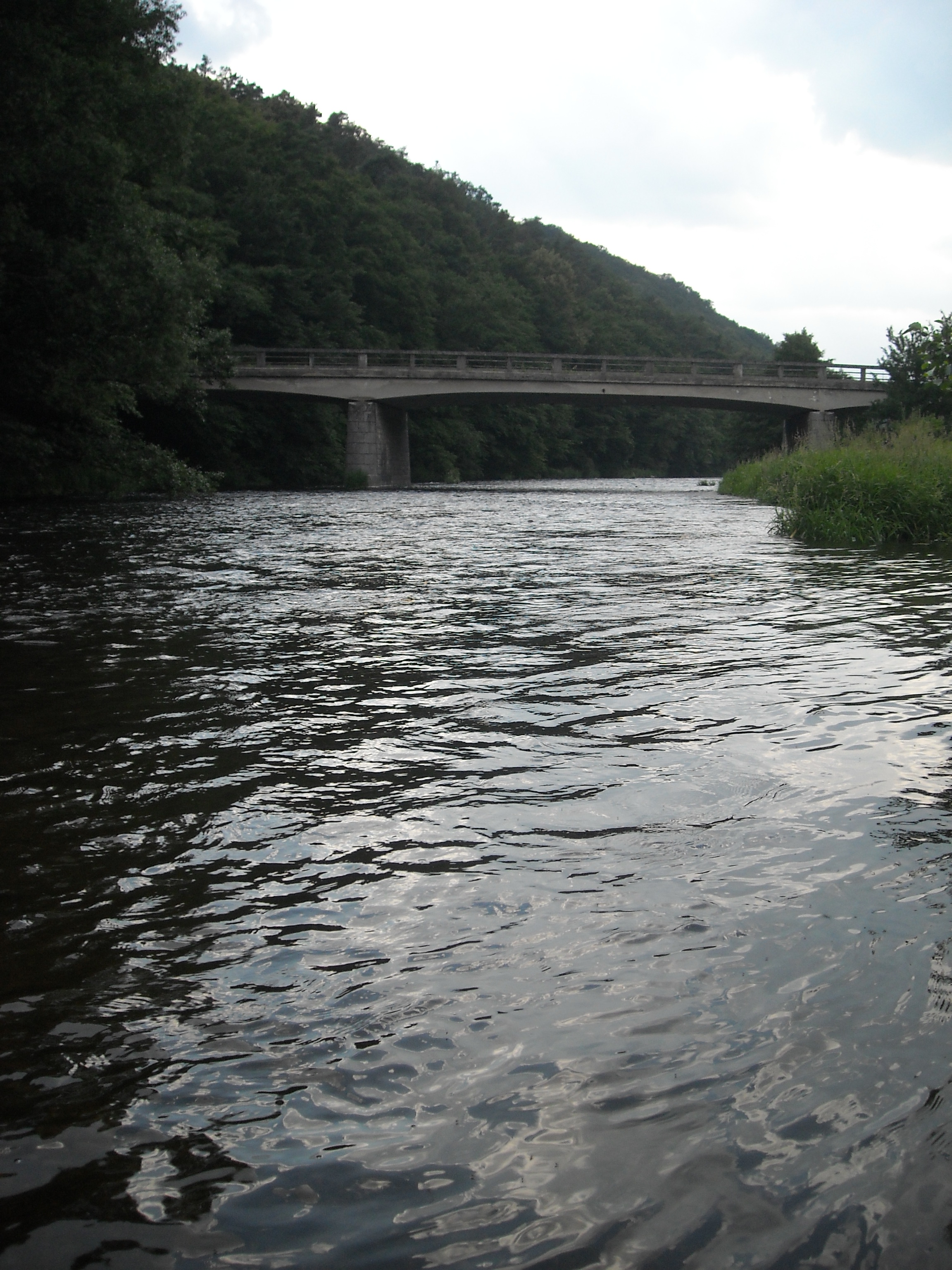 DSCN0811.jpg