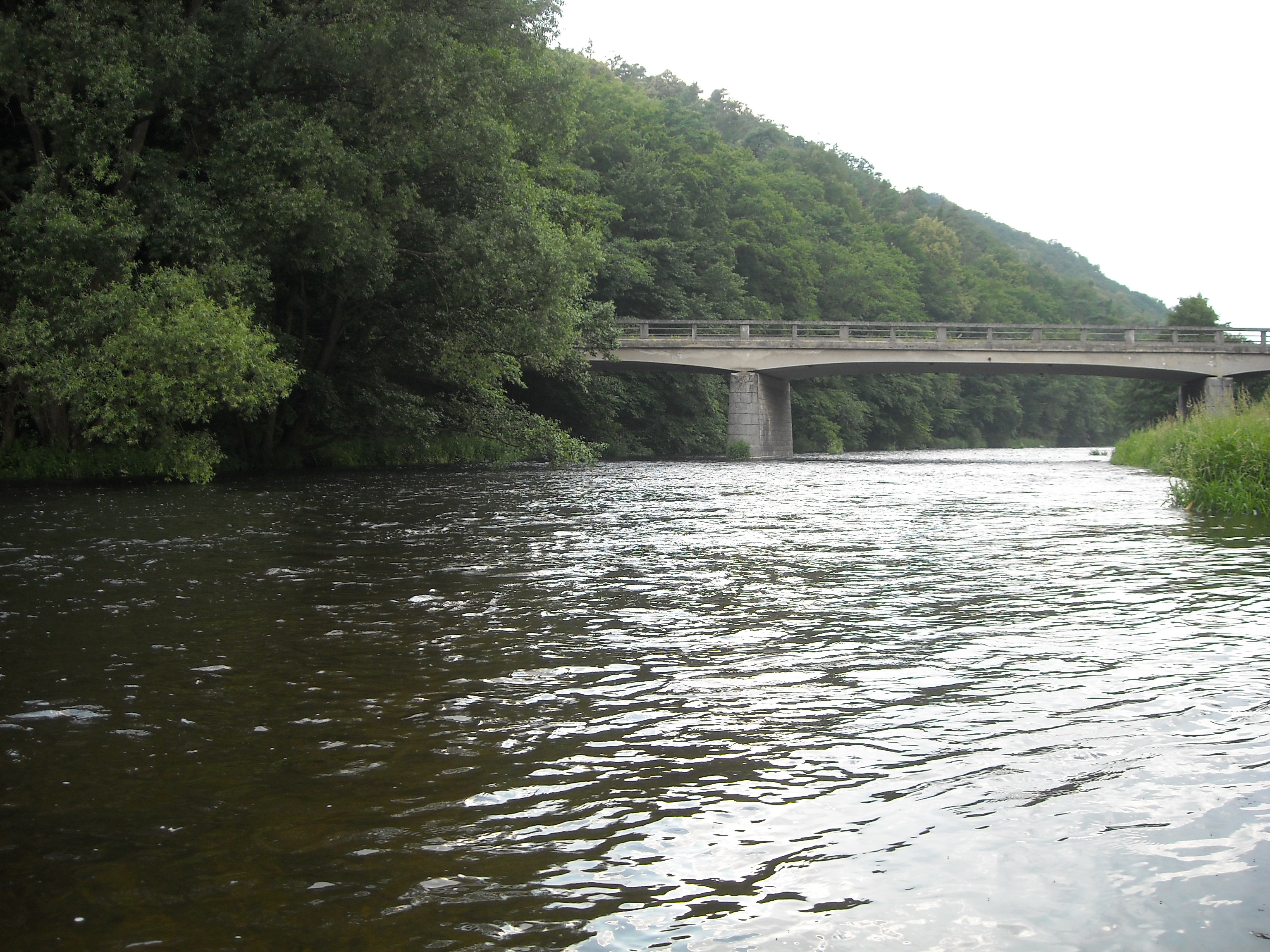 DSCN0808.jpg